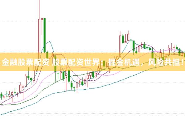 金融股票配资 股票配资世界：掘金机遇，风险共担！