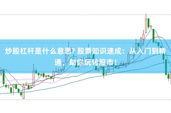 炒股杠杆是什么意思? 股票知识速成：从入门到精通，助你玩转股市！