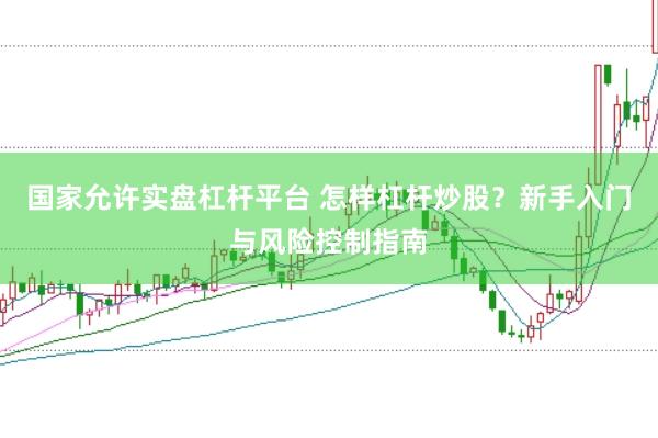 国家允许实盘杠杆平台 怎样杠杆炒股？新手入门与风险控制指南