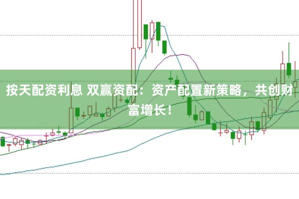 按天配资利息 双赢资配：资产配置新策略，共创财富增长！