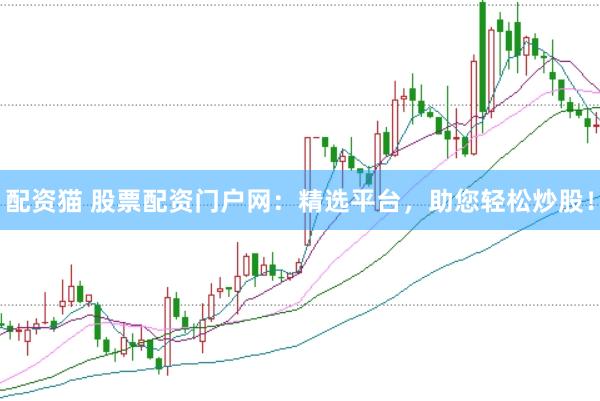 配资猫 股票配资门户网：精选平台，助您轻松炒股！