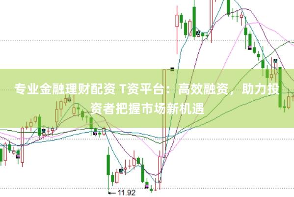 专业金融理财配资 T资平台：高效融资，助力投资者把握市场新机遇
