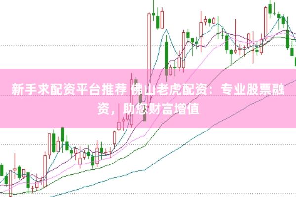 新手求配资平台推荐 佛山老虎配资：专业股票融资，助您财富增值