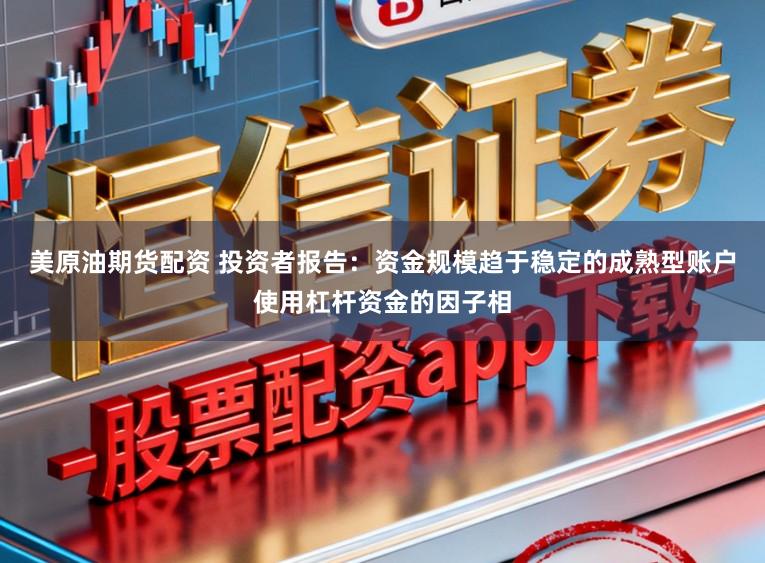 美原油期货配资 投资者报告：资金规模趋于稳定的成熟型账户使用杠杆资金的因子相