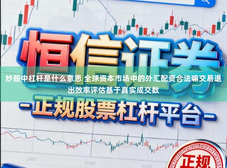 炒股中杠杆是什么意思 全球资本市场中的外汇配资合法嘛交易退出效率评估基于真实成交数